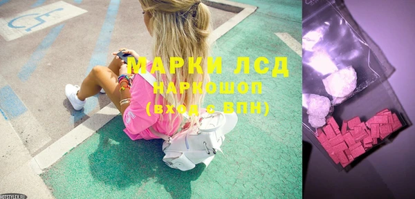 хмурый Алзамай