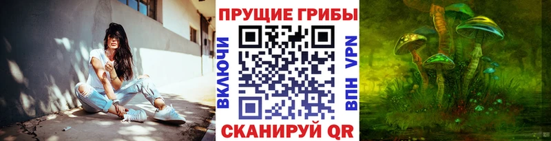 Псилоцибиновые грибы ЛСД  ссылка на мегу рабочий сайт  Саров 